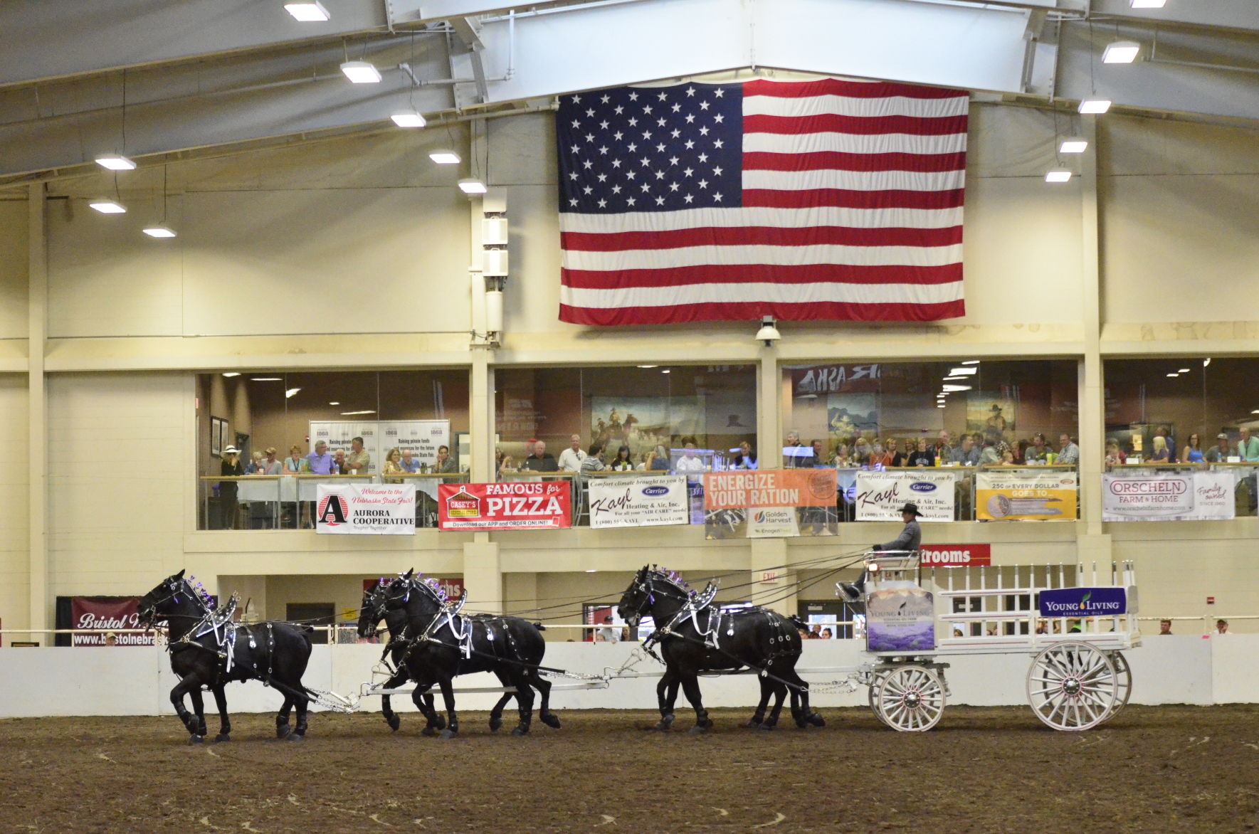 8-25-19 Draft Horse Hitch Final (87).JPG